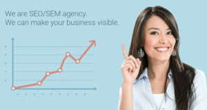 jasa review web